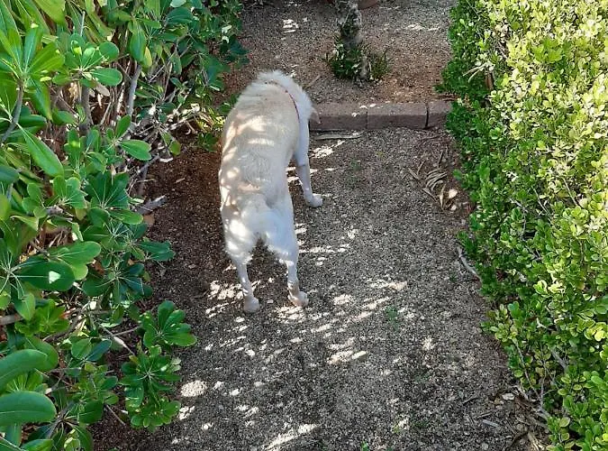 Luna E Mare Cala Gonone