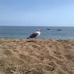 Luna E Mare * كالا غونوني