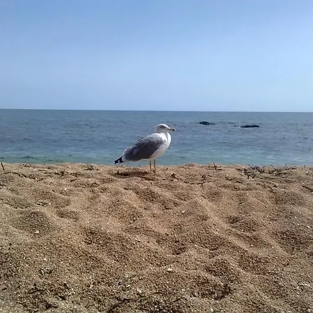 Luna E Mare * 卡拉古诺内