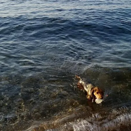 Luna E Mare Prázdninový dům Cala Gonone