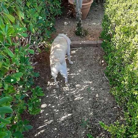 Luna E Mare 卡拉古诺内