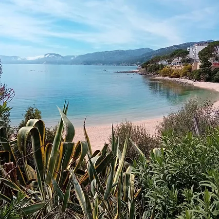 Hébergement de vacances Luna E Mare