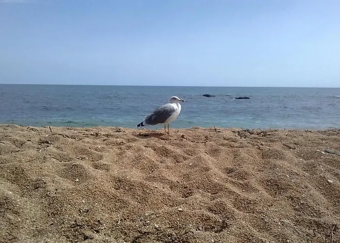 Luna E Mare * カーラゴノネ