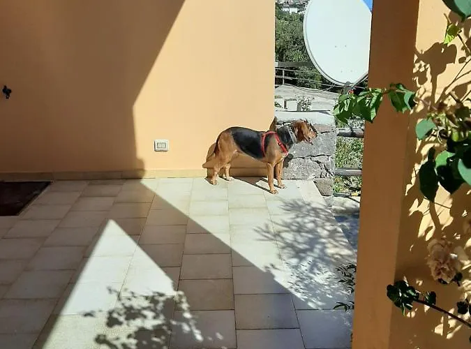 Tatil Evi Luna E Mare Cala Gonone